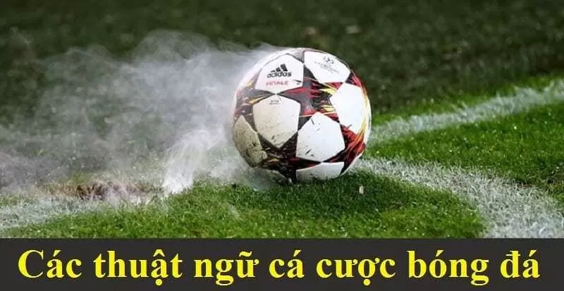 Các thuật ngữ cá độ bóng đá kèo châu á Các thuật ngữ cá độ bóng đá kèo châu á