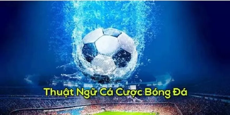 Các thuật ngữ cá độ bóng đá trong kèo tài xỉu Các thuật ngữ cá độ bóng đá trong kèo tài xỉu