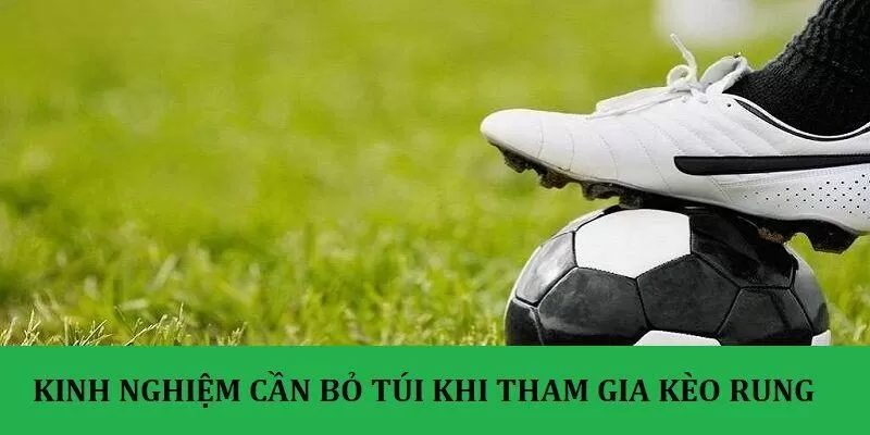 Mẹo chơi kèo rung hiệu quả Mẹo chơi kèo rung hiệu quả